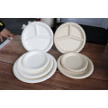 Eco - Friendly Sugarcane Disposable Plates Paper Lunch Tray